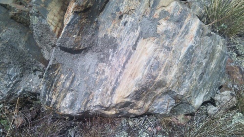 Гигантские зелёные валуны для ландшафтного дизайна весом более 5 тонн купить в Пскове