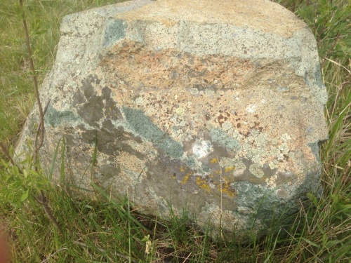 Гигантские зелёные валуны для ландшафтного дизайна весом более 5 тонн купить в Пскове