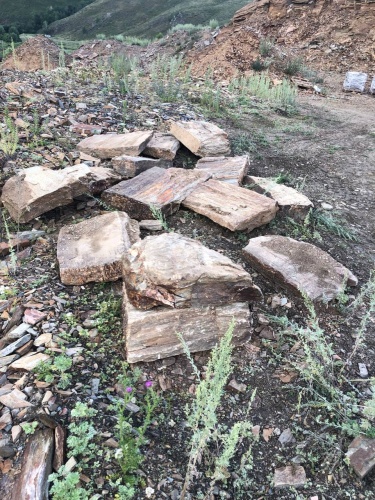 Плитняк кора дерева 50-100мм для пошаговых дорожек купить в Пскове